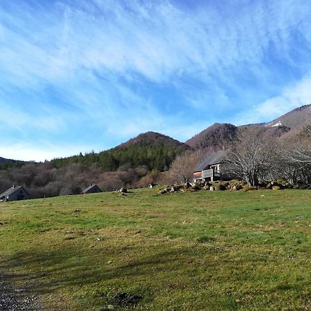 Les Chalets De La Foret D'Issaux Osse-en-Aspe Luaran gambar
