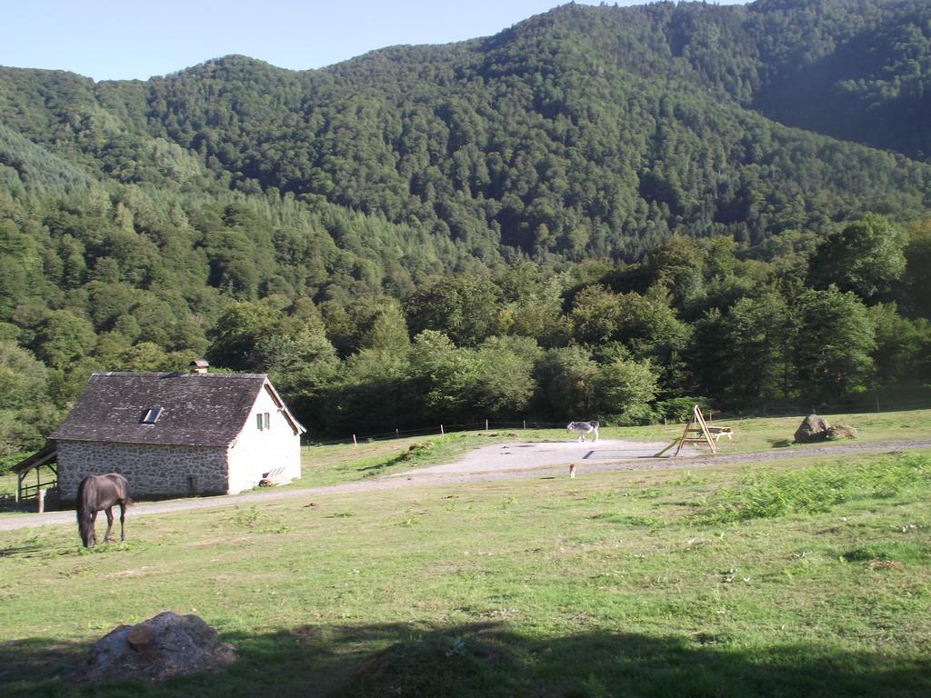 Les Chalets De La Foret D'Issaux Osse-en-Aspe Bilik gambar