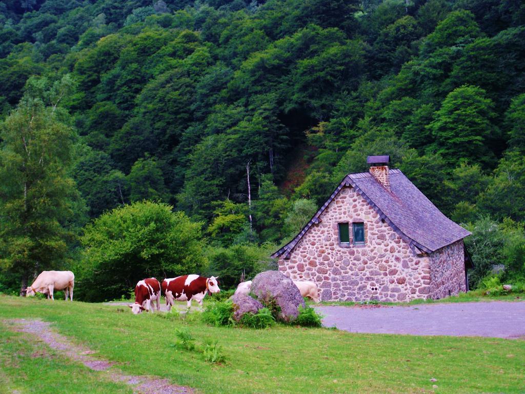 Les Chalets De La Foret D'Issaux Osse-en-Aspe Luaran gambar