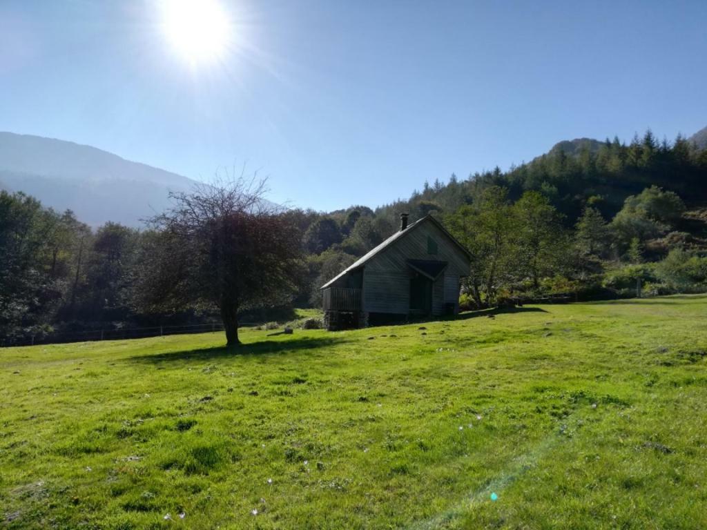 Les Chalets De La Foret D'Issaux Osse-en-Aspe Luaran gambar